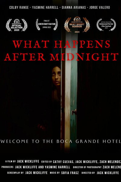 Póster de What Happens After Midnight