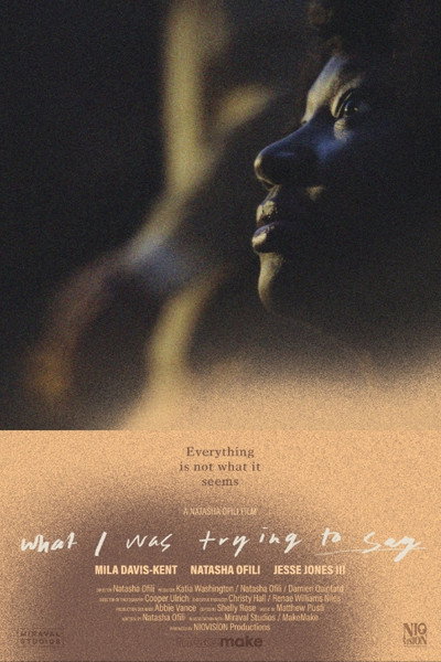 Póster de What I Was Trying to Say