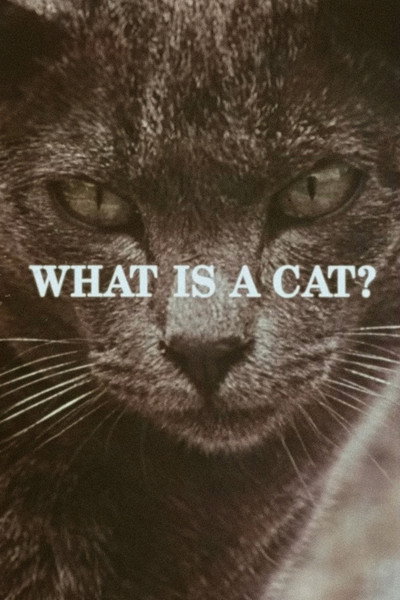 Póster de What Is a Cat?