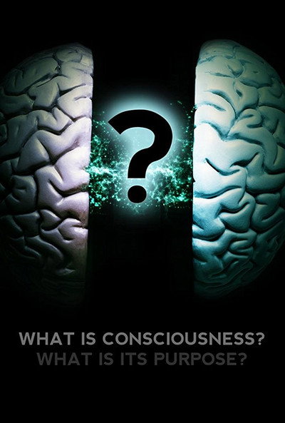 Póster de What Is Consciousness? What Is Its Purpose?