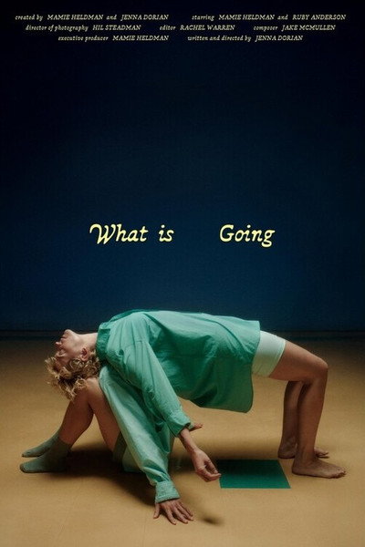 Póster de What Is Going