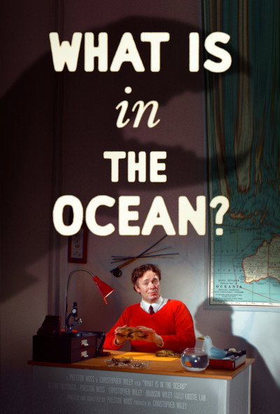 Póster de What Is in the Ocean?