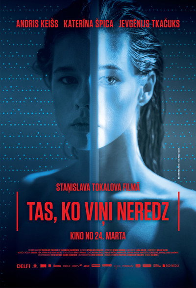 Póster de What Nobody Can See