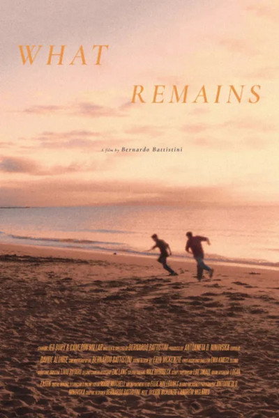 Póster de What Remains