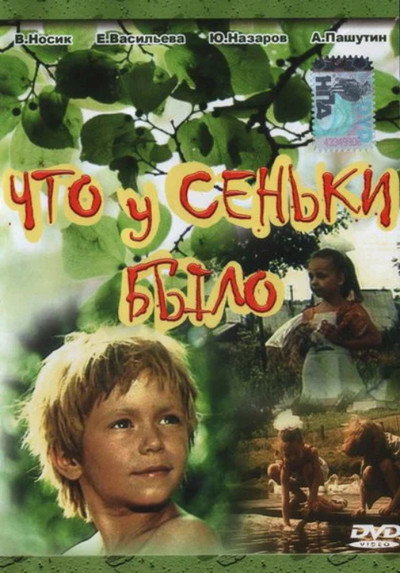 Póster de What Senka Said