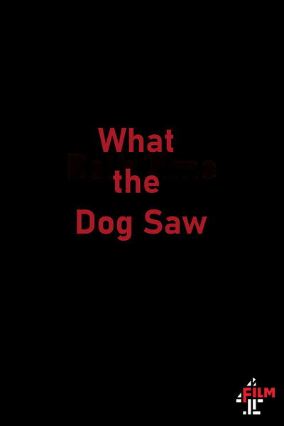 Póster de What the Dog Saw