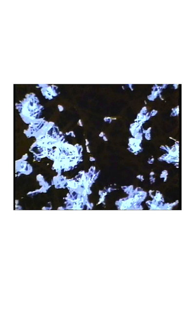 Póster de What the Water Said, Nos. 4-6