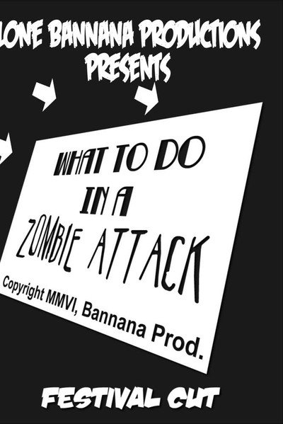 Póster de What to Do in a Zombie Attack