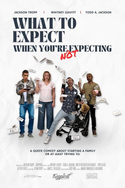 Póster de What to Expect When You're NOT Expecting