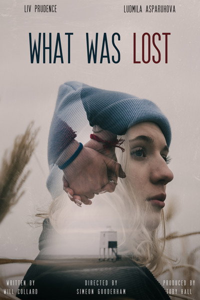 Póster de What Was Lost