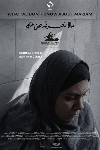 Póster de What We Don't Know About Maryam