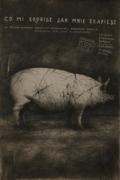 Póster de What Will You Do When You Catch Me?