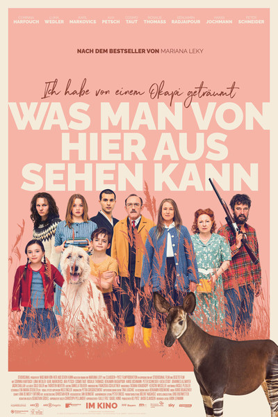 Póster de What You Can See from here