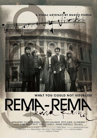 Póster de What You Could Not Visualise