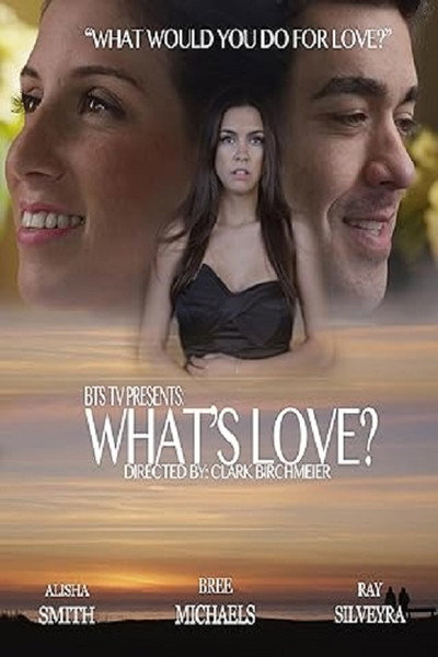Póster de Whats Love?