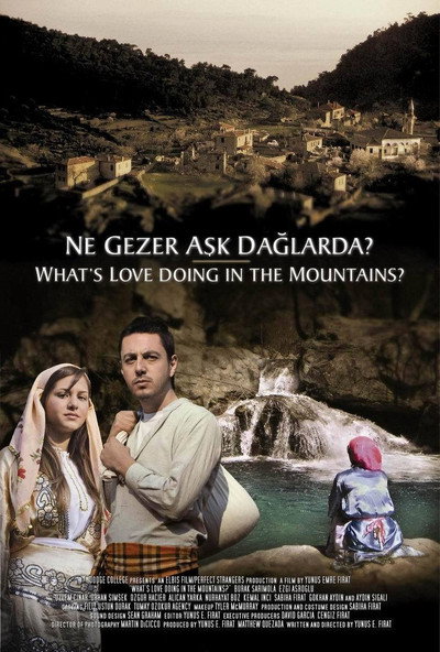 Póster de What's Love Doing in the Mountains?