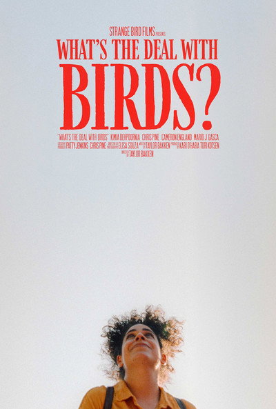 Póster de What's the Deal with Birds?