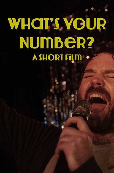 Póster de What's Your Number