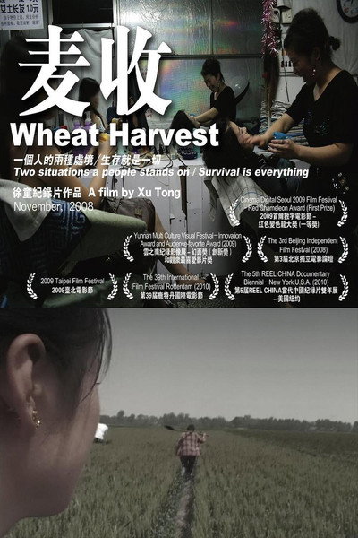 Póster de Wheat Harvest