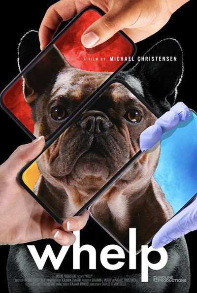 Póster de Whelp