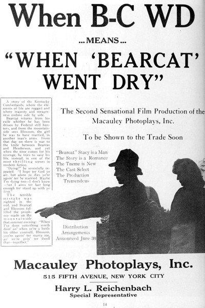 Póster de When Bearcat Went Dry