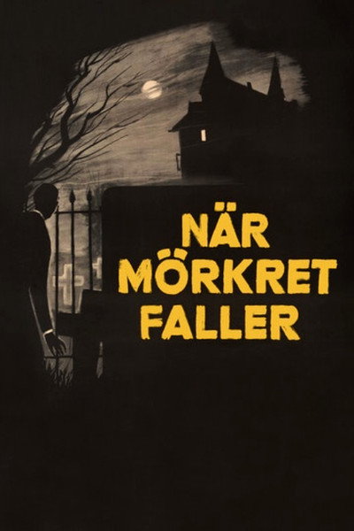 Póster de When Darkness Falls