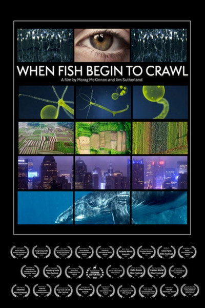 Póster de When Fish Begin to Crawl