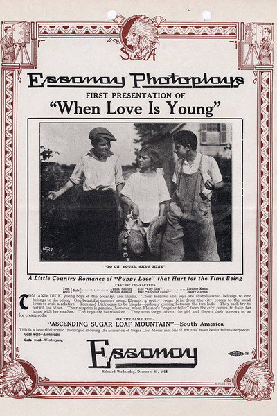 Póster de When Love Is Young