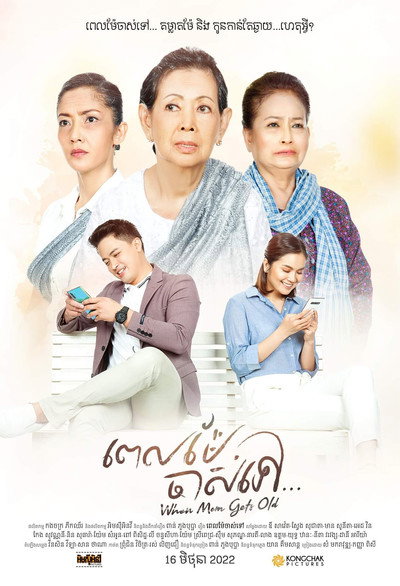 Póster de When Mom Gets Old III