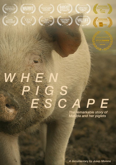 Póster de When Pigs Escape