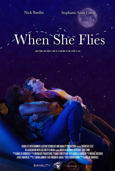 Póster de When She Flies