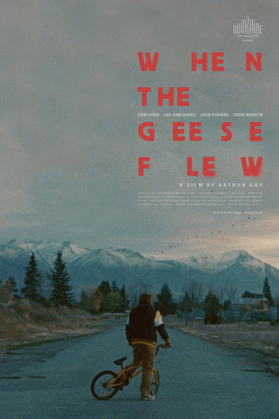 Póster de When the Geese Flew