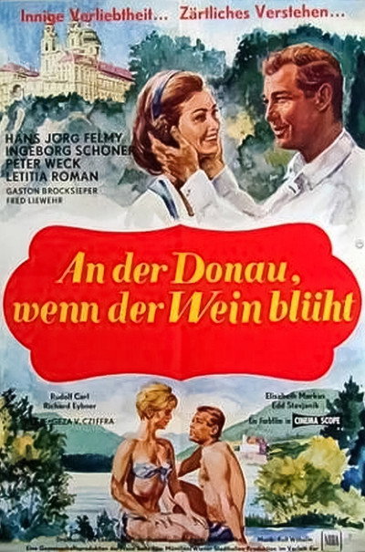 Póster de When the Grapevines Bloom on the Danube
