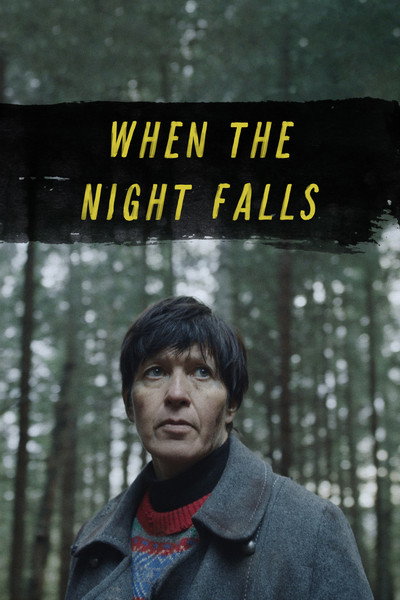 Póster de When the Night Falls