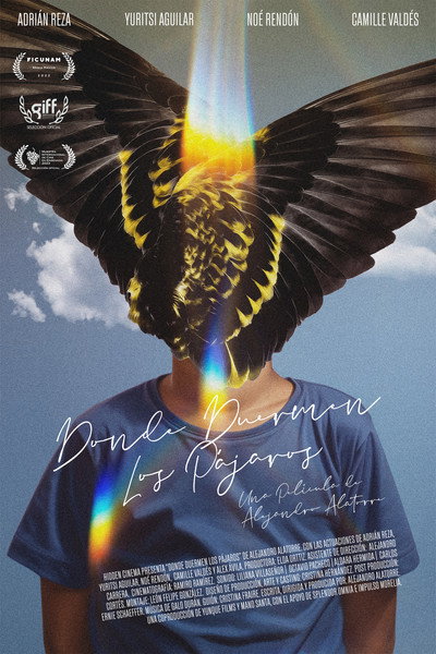 Póster de Where Birds Dream