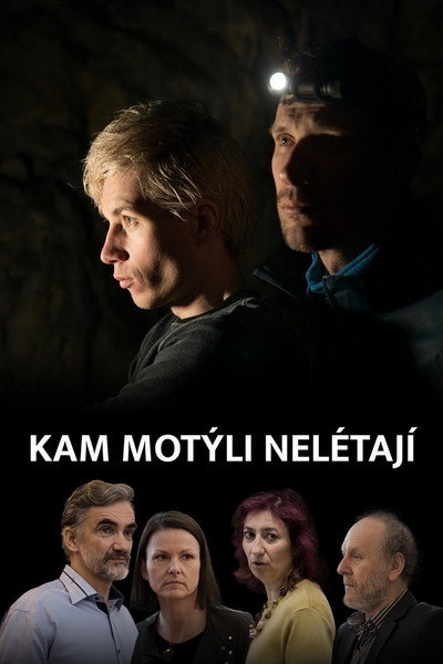 Póster de Where Butterflies Don't Fly