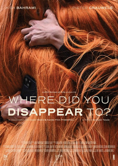 Póster de Where Did You Disappear to?