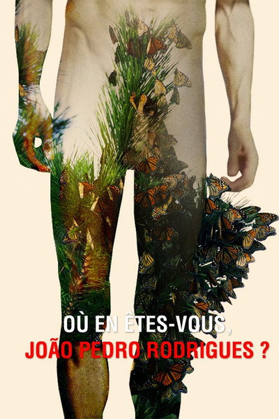 Póster de Where Do You Stand Now, João Pedro Rodrigues?