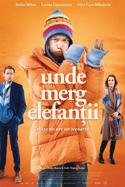 Póster de Where Elephants Go