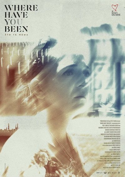 Póster de Where Have You Been