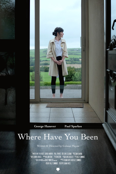 Póster de Where Have You Been