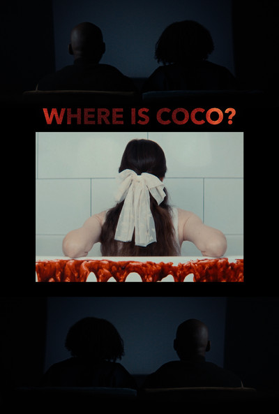 Póster de Where Is Coco?