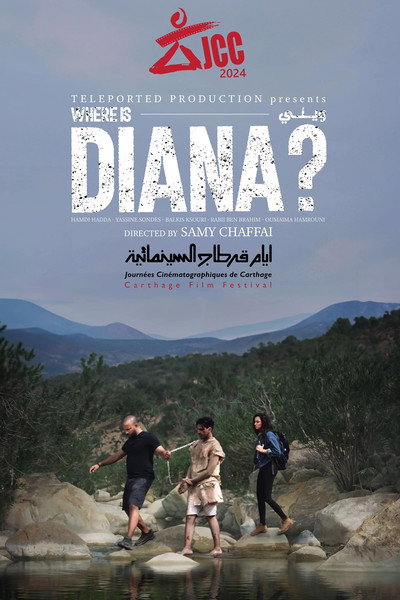 Póster de Where Is Diana?