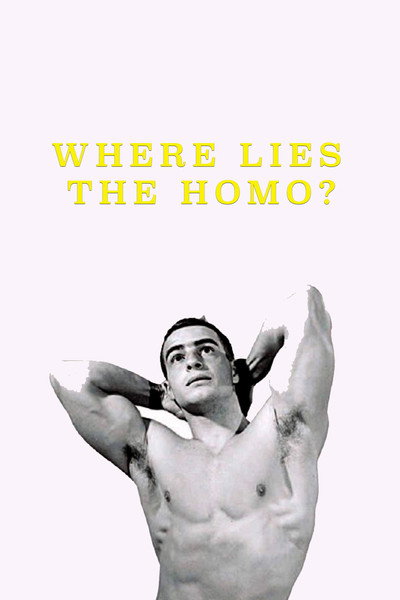 Póster de Where Lies the Homo?