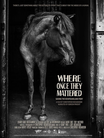 Póster de Where Once They Mattered