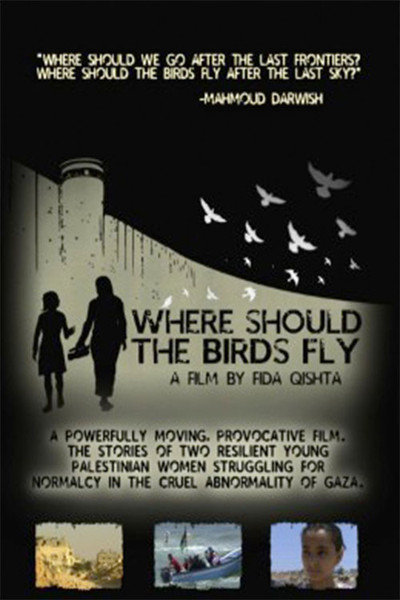 Póster de Where Should the Birds Fly