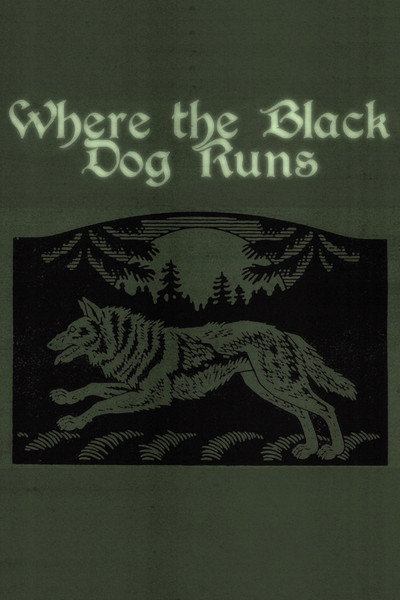 Póster de Where the Black Dog Runs