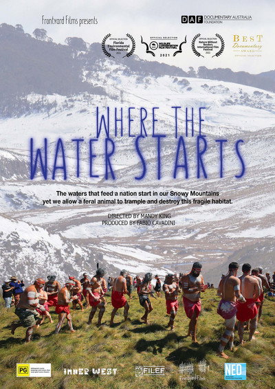 Póster de Where the Water Starts