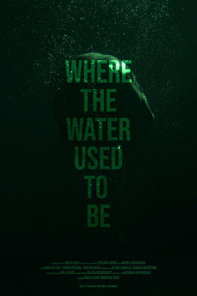 Póster de Where the Water Used to Be