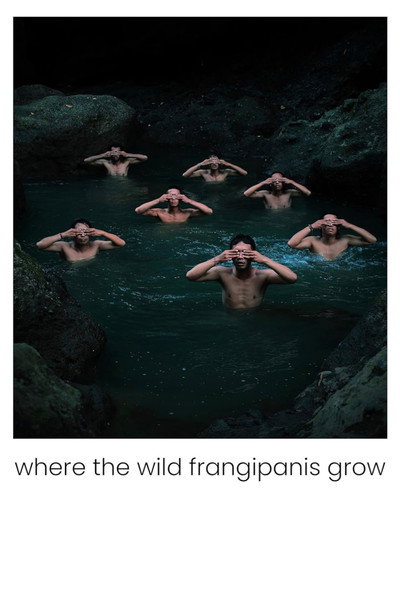 Póster de Where the Wild Frangipanis Grow